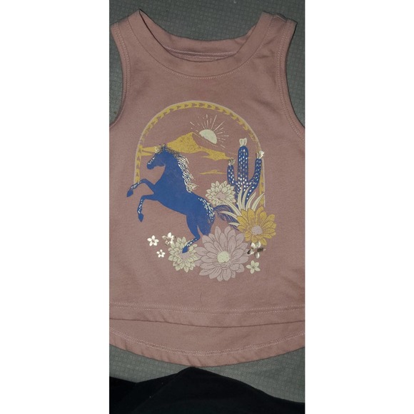 2 OshKOSH B'Gosh Toddler Hi lo Tanks - Picture 3 of 3